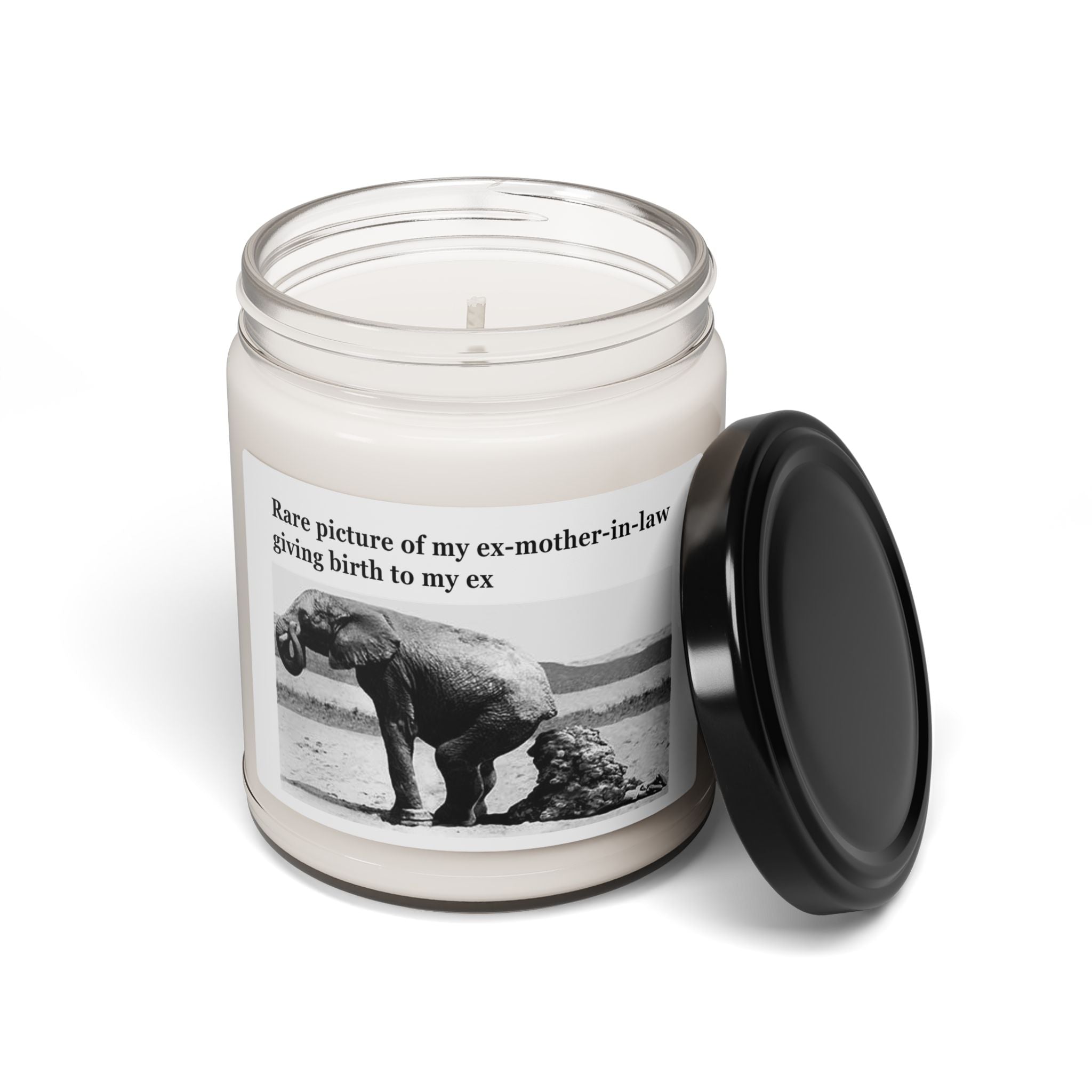 Divorced Dung Elephant Candle