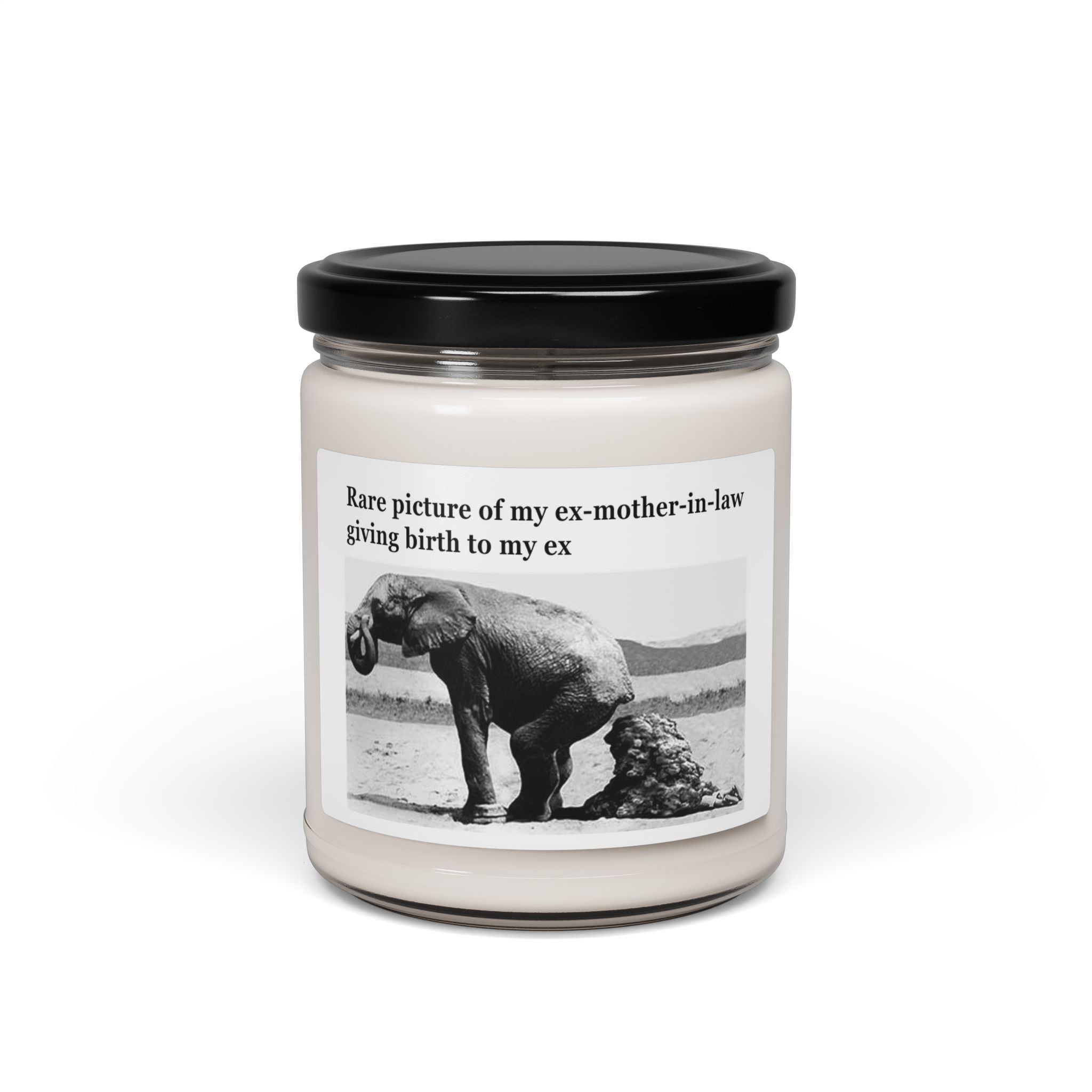Divorced Dung Elephant Candle